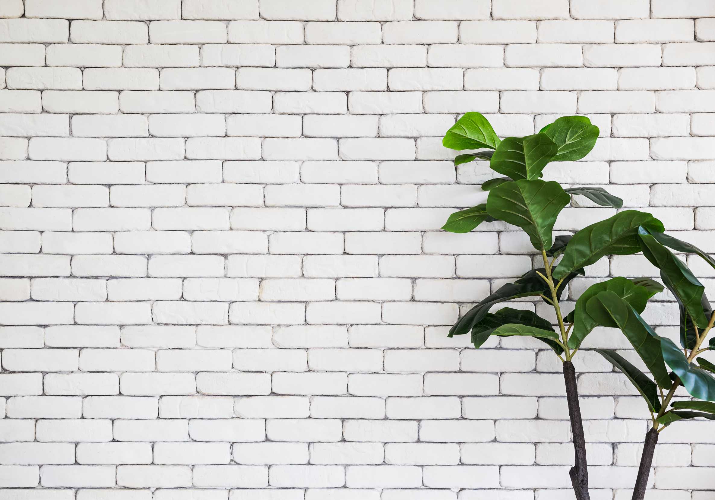 Kunstplanten groothandel Kunstplanten groothandel
